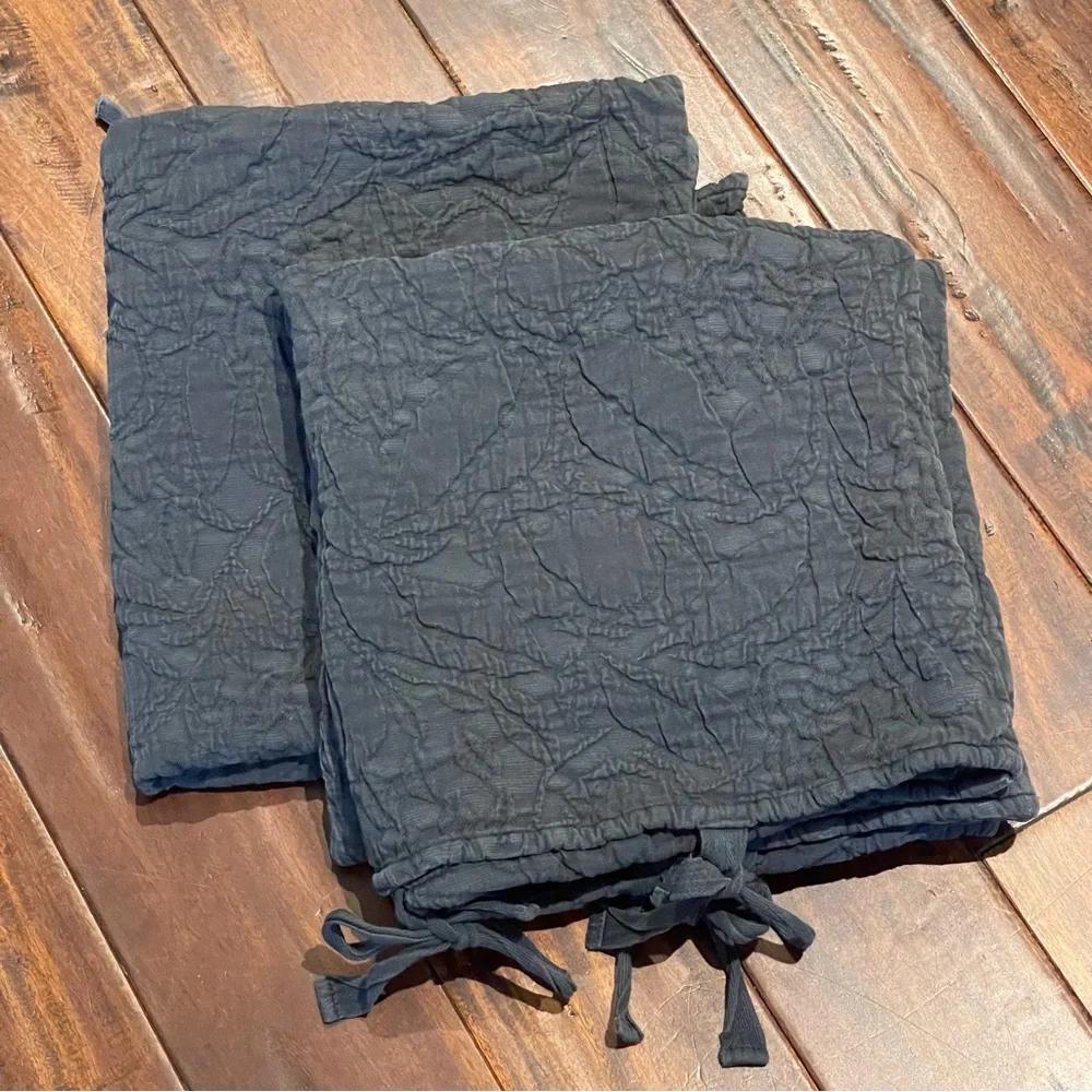 2 Pottery Barn euro shams